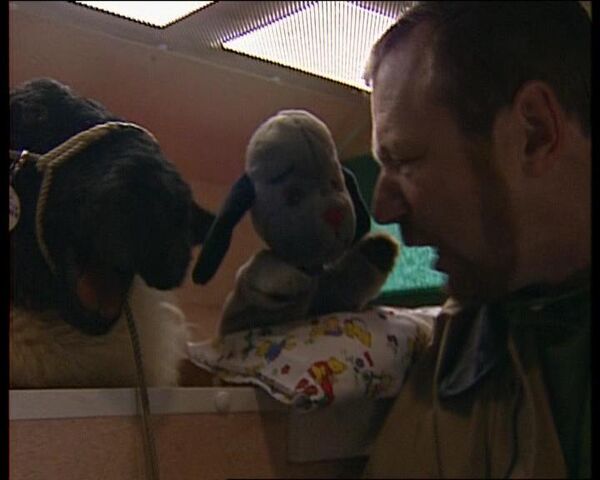 File:PullingtheWool24.jpg