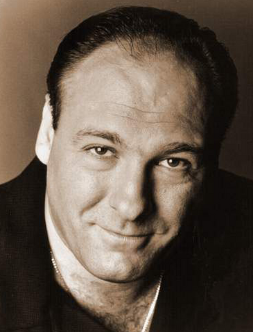 File:JamesGandolfiniA.png