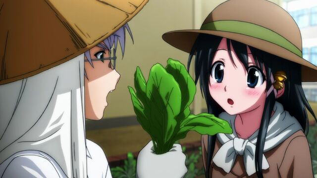 Fichier:Eishiro Hiyori.jpg