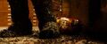 Thumbnail for version as of 04:04, January 29, 2012