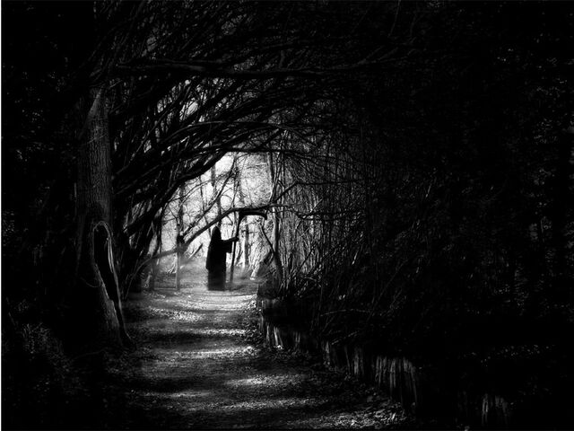 File:Dark-forest-night-image-31000.jpg