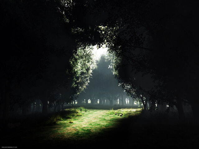 File:Dark-Forest-Wallpaper-10.jpg