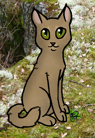 Tiedosto:Katajakynsi.png