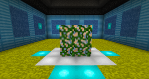 Blueberry Vine
