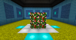 Cranberry Vine