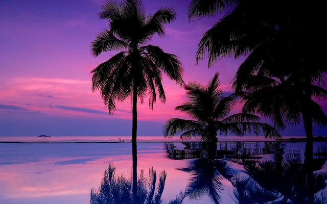 File:7021833-tropical-purple-sunset.jpg