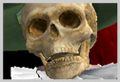 Thumbnail for version as of 20:15, November 16, 2011