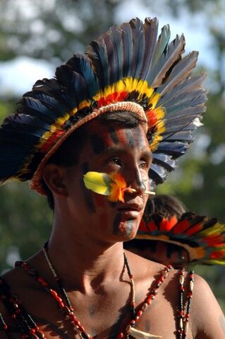 File:MarcelloD'ourado.jpg