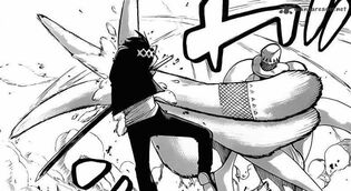 Akane vs Lapin.jpg