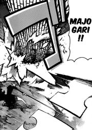 Spirit Majogari.jpg
