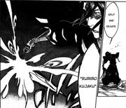 Ruriirokujaku