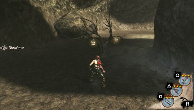 File:Kobold tree.jpg