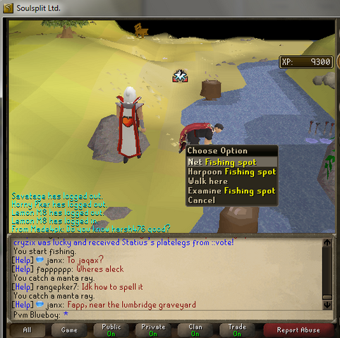 File:Anet1spot.png