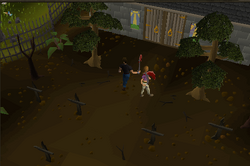 Seer's Village Yew Spot