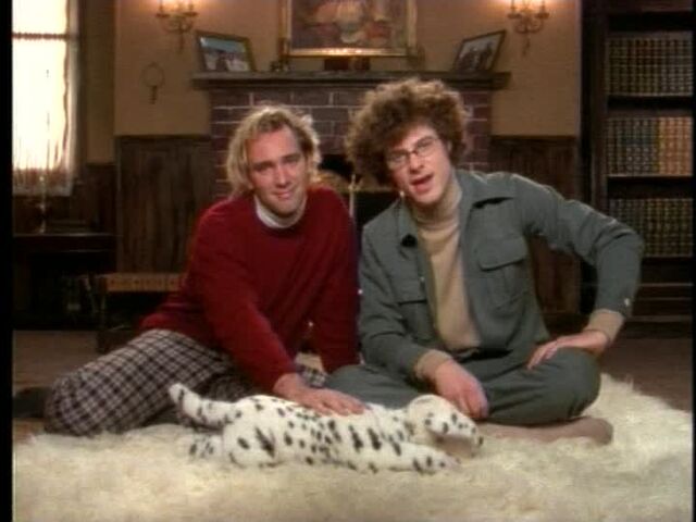 File:Chats10.jpg