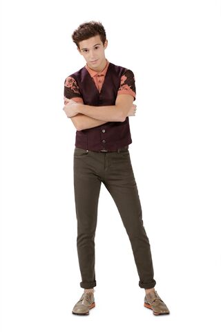 Bestand:Mattev.jpg