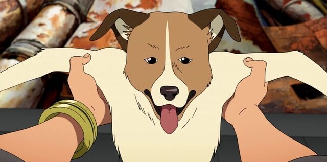 File:PUP.jpg