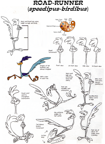 File:Road runner model sheet by guibor-d6b919x.png