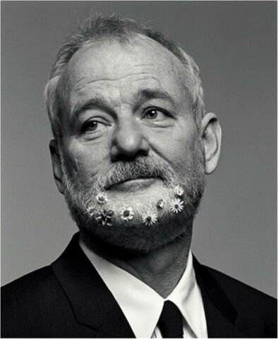 File:Bill-Murray-New-York-Times.jpg