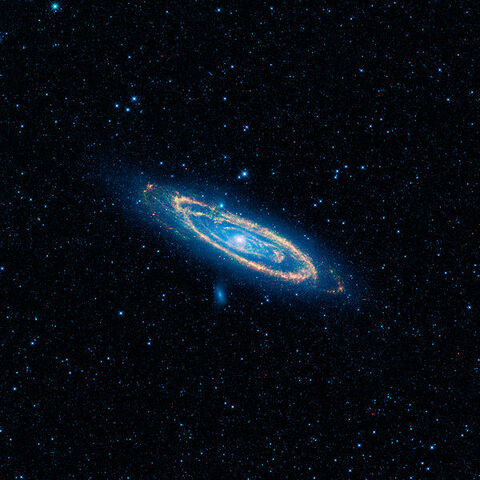 File:600px-WISE- Andromeda.jpg