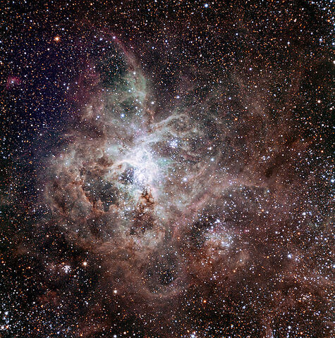 File:593px-Tarantula Nebula TRAPPIST.jpg