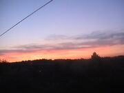 PIC 0507