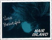 Hair Island