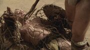 Spartacus1x03 0401.jpg