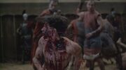 Spartacus3x04 0922.jpg