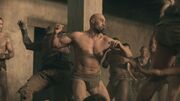 SpartacusGx03 1184.jpg