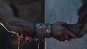 Spartacus3x05 0847.jpg