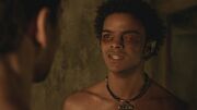 Spartacus1x07 0555.jpg
