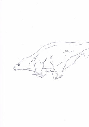 Stubby Hippopod
