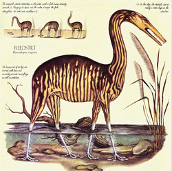Reedstilt