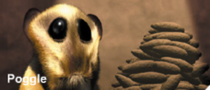Poggle