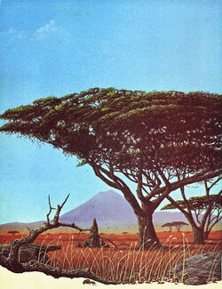 Tropicalgrasslands