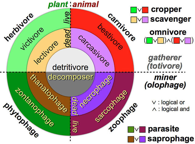 File:ConsumerClassification.jpg