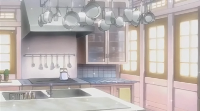 File:S.A kitchen.png