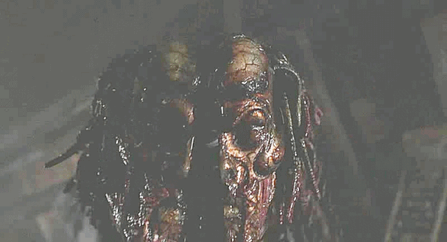 File:2005.gif