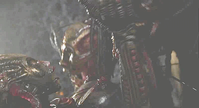 File:4002.gif