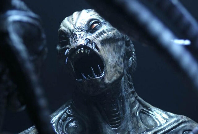 File:Species 3 yosef.jpeg