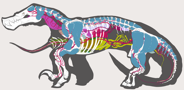 File:Anatotal.png