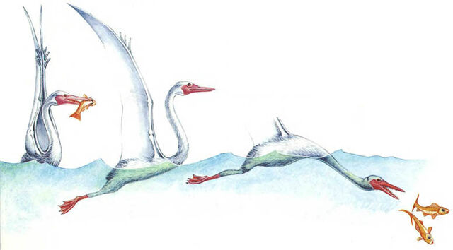 File:Soar.jpg