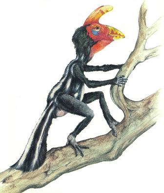 Crackbeak