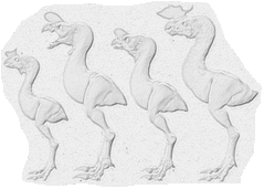 Diversité tyrannornis