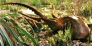 File:Img223158032.jpg