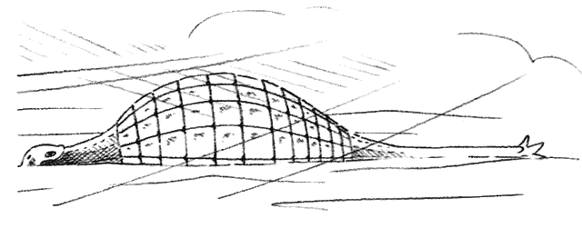 File:Taranter low.gif
