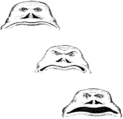 File:Aquamorph faces.gif