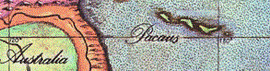 Pacaus
