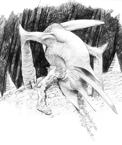File:Forest Slider Shrivel.jpg